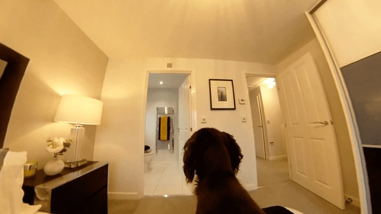 Keepmoat Homes Testing 'Dog Cam' Showhome