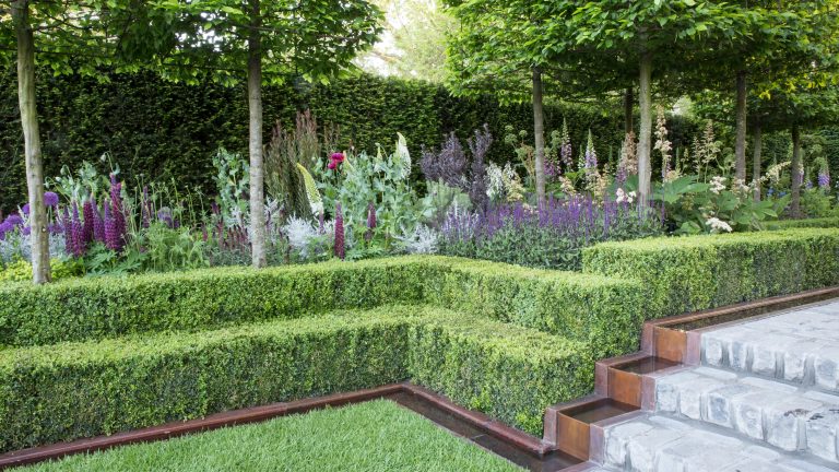 Hedging and homes: why you should plant hedges in your new home