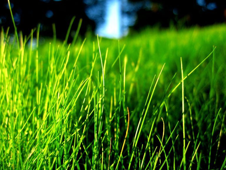 7 Preventive Maintenance Tips for Your Lawn Care Equipment