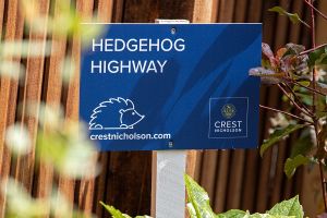 Crest Nicholson launches hedgehog highways and bug hotels at its new Lewin Park development in Langford, Bedfordshire