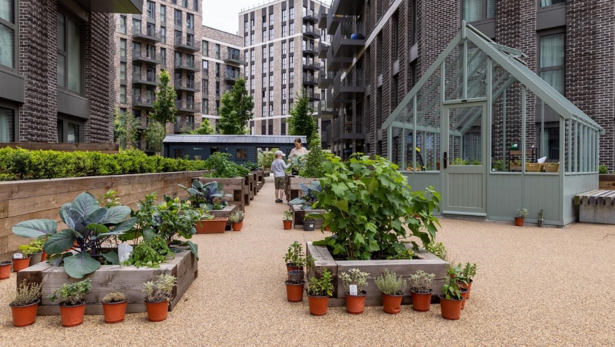 Quintain Living residents have A LOT to gain this National Allotments Week - Vimarsana News