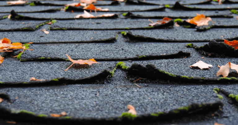 Roofing Red Flags: Signs That It's Time for a New Roof