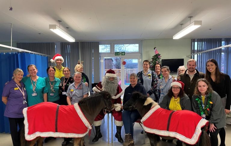 Pexhurst Sponsor the East & North Hertfordshire Hospitals’ Charity’s Therapy Ponies Programme