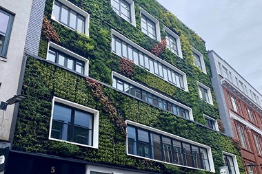 Green and Living Walls as External Cladding: Managing Risk