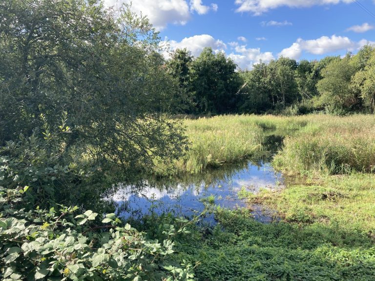 Historic East London filter beds restored via civil engineering specialists