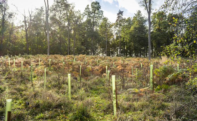 Environment Bank to offer biodiversity net gain services to Barclays business customers