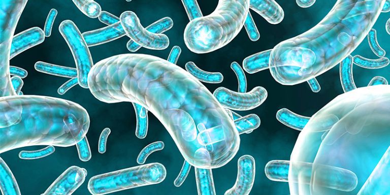 Construction professionals called on to pay due diligence amid growing Legionella risk