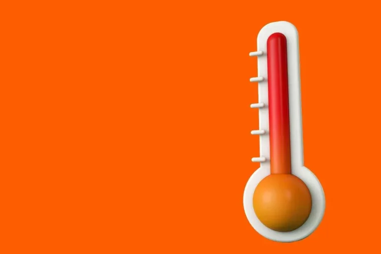 Custom vs. standard temperature solutions: which is right for your application?