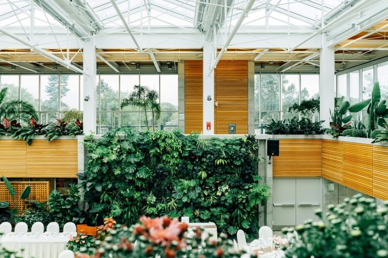 Biophilic Design: Bringing the Natural Outdoors Indoors into Modern Architecture