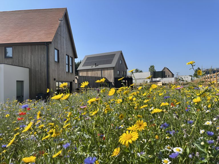 Bioregional launches comprehensive guidance for sustainable new-build communities