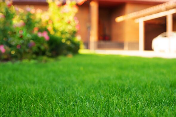 The Fastest Way to Keep Your Lawn Looking Great All Year