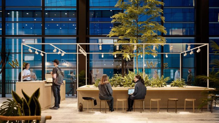 Greener Workspaces: Low-Carbon Materials for Your Next Office Fitout