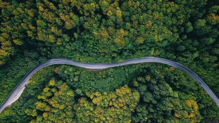 SBTi Approves STARK Group’s climate targets towards net zero by 2050