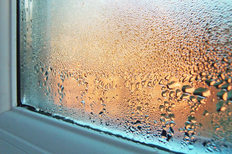 MPs urged to back national campaign to tackle damp and mould in housing