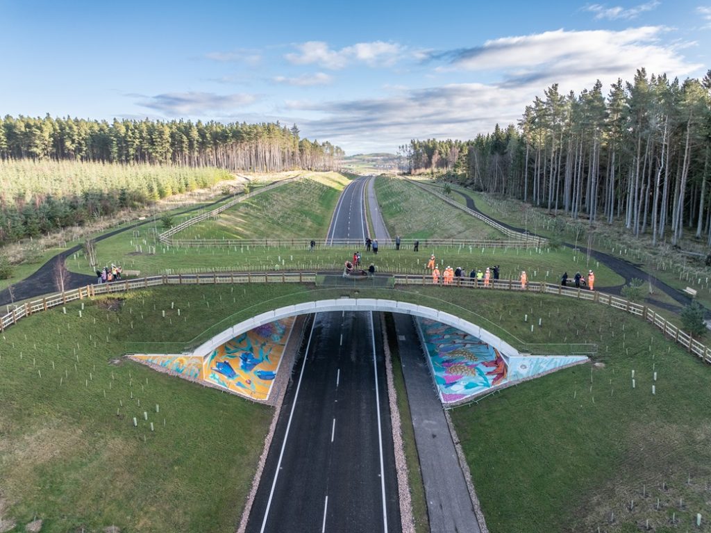 BAM UK & Ireland and Eden Project unite to lead nature recovery in the built environment