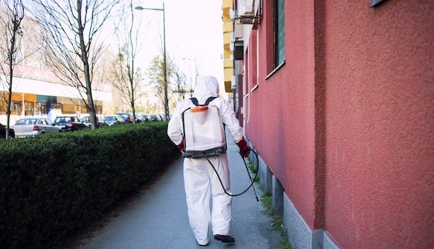 Construction Site Pests: How Early Prevention Saves Time and Money