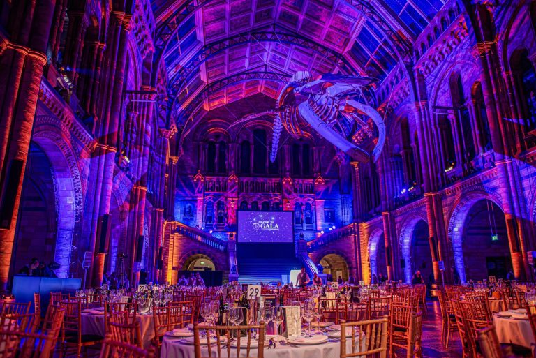 2025 Grand Gala Award Winners