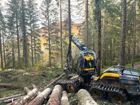 A year of recognition for Forestry and Land Scotland with award wins