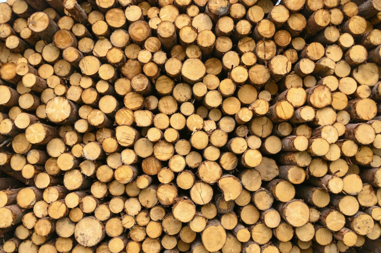 Expert shares 5 practical ways to improve sustainability in the timber industry