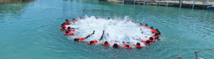 STCW Basic Safety Training in Marine, Offshore and Industrial Operations