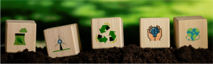 Embodied carbon moves centre stage: Why EPDs are becoming essential for construction products