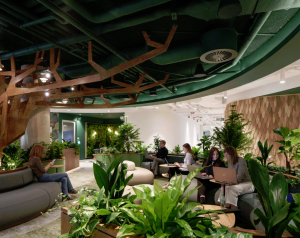 Universal Floral achieves Carbon Neutral Certification, offsetting over 100% of generated carbon emissions