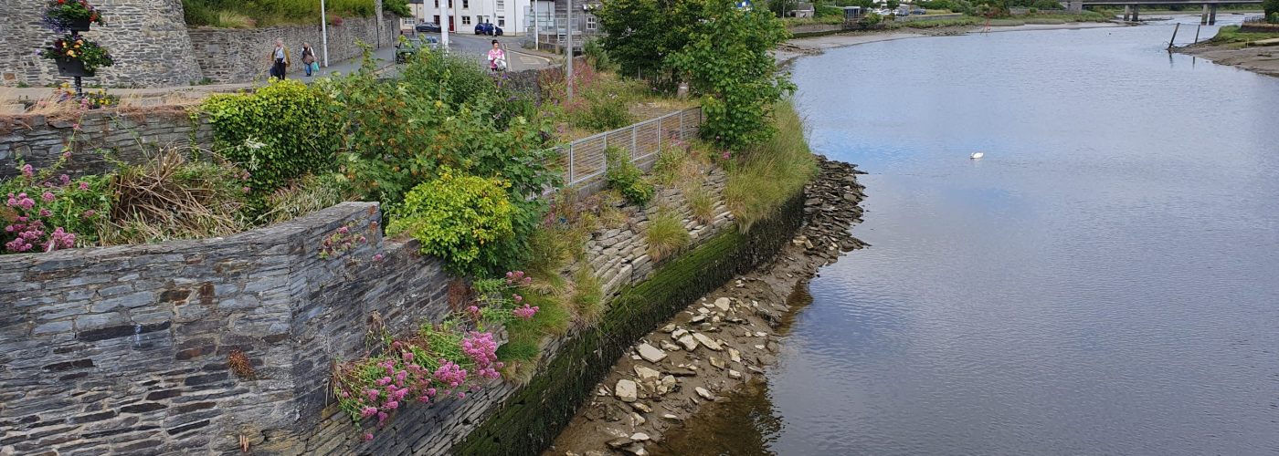 Cardigan Tidal Flood Risk Management Scheme adds biodiversity element to flood defence project