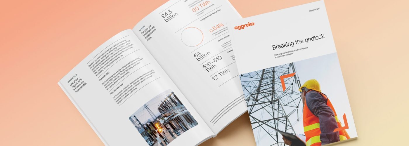 Report Calls for Temporary Power to Ease EU Grid Strain