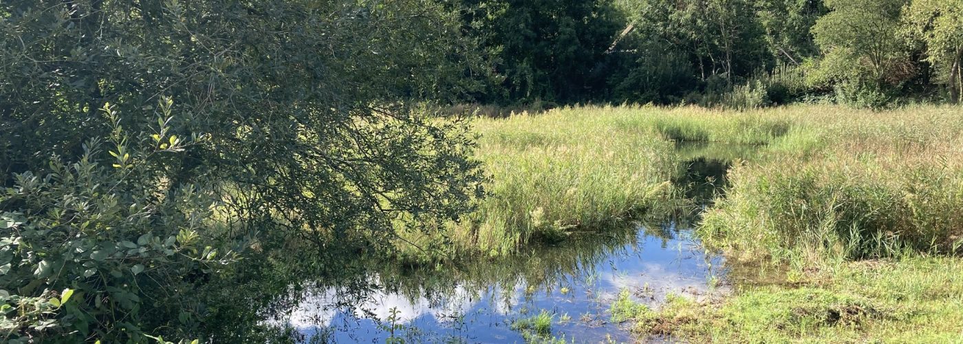 Historic East London filter beds restored via civil engineering specialists