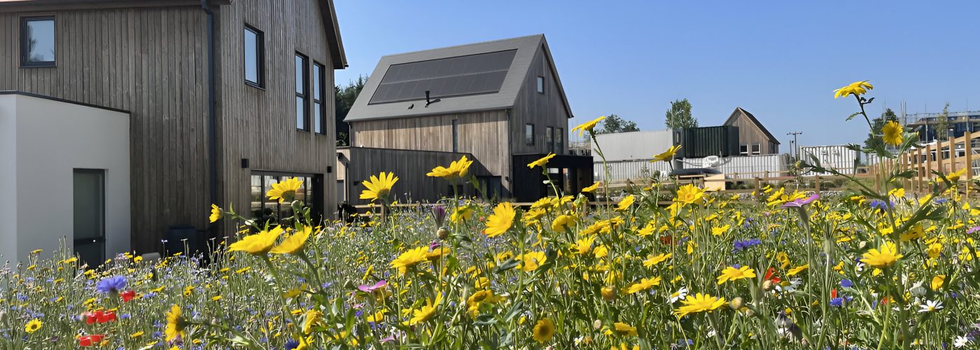 Bioregional launches comprehensive guidance for sustainable new-build communities