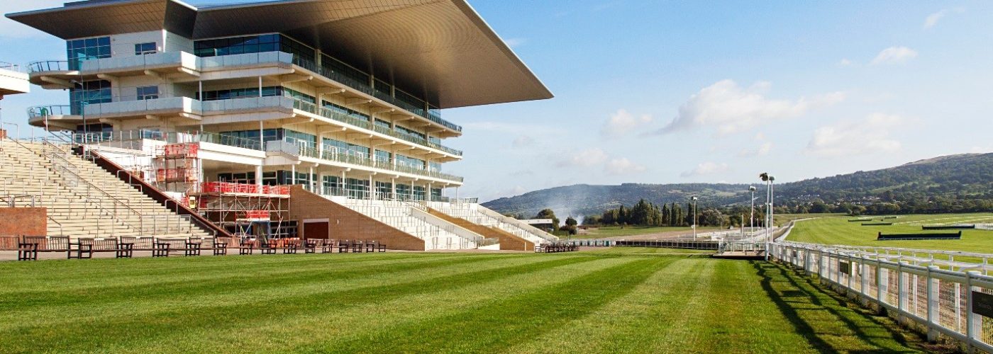 Royal Box at Cheltenham Racecourse - What It's Like in the Royal Box