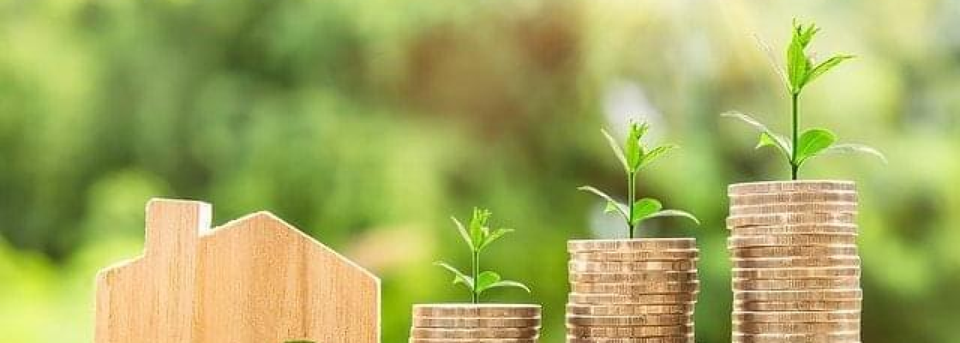 How Cash-for-Homes Companies Operate in California