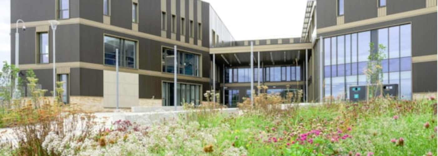 New Liberton High School opens doors to pupils