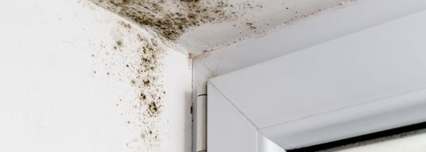 ‘Councils determined to improve housing conditions’ – LGA responds to damp and mould findings