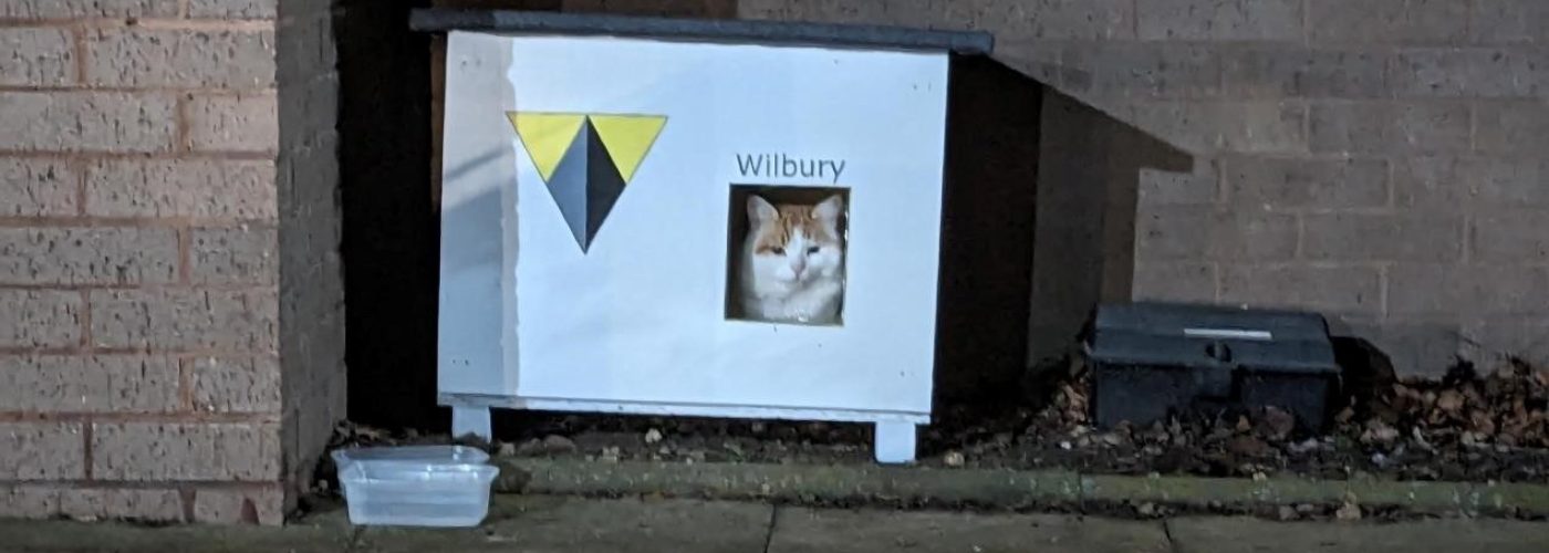 Stray cat cosies up in home built by award-winning construction company