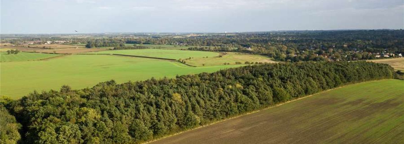 The Crown Estate purchases The Dissington Estate in Northumberland