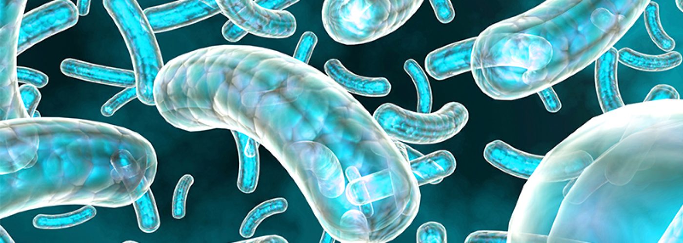 Construction professionals called on to pay due diligence amid growing Legionella risk