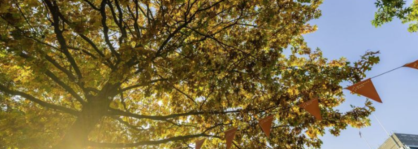 Quintain marks national tree week, celebrating the planting of over 1,000 trees in Wembley Park