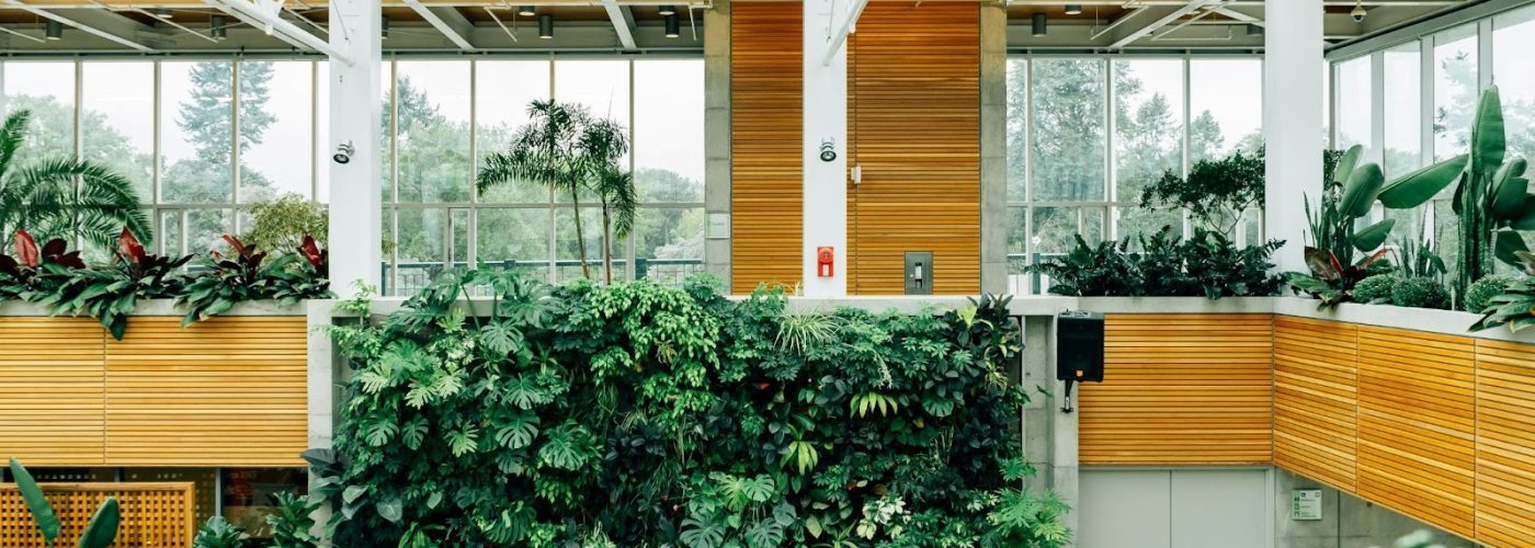 Biophilic Design: Bringing the Natural Outdoors Indoors into Modern Architecture