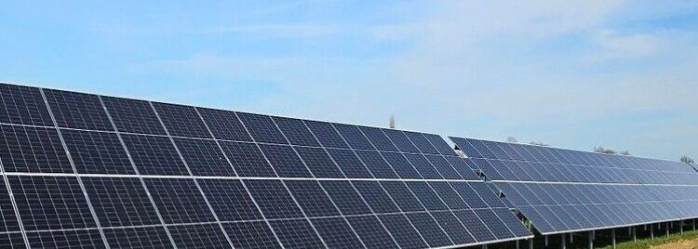 Multiplex Powers Up Solar Farm to Drive Net Zero Goals