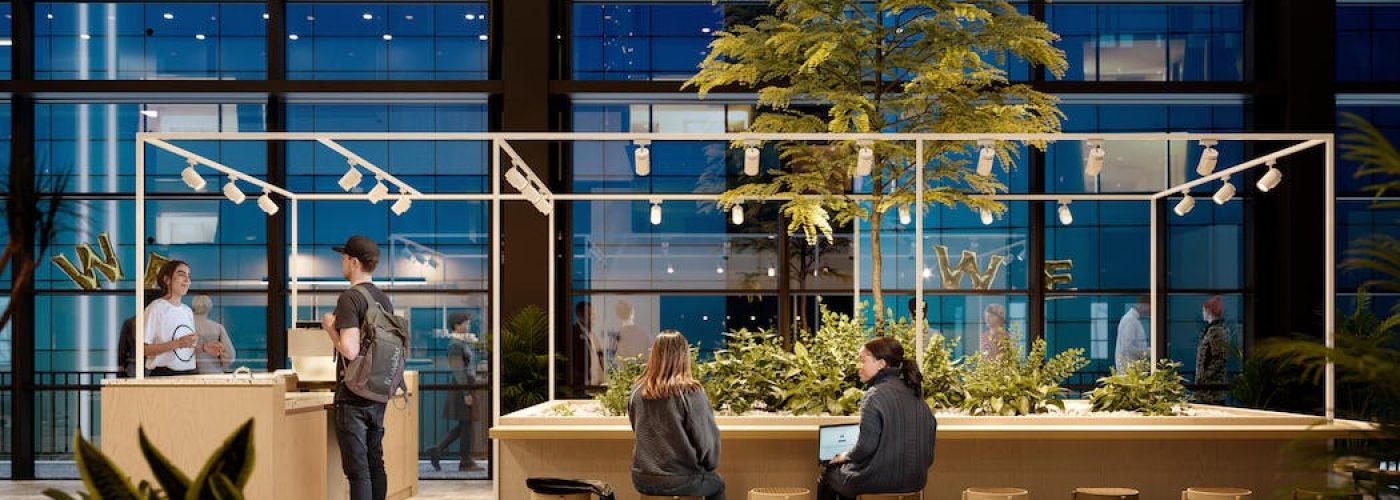 Greener Workspaces: Low-Carbon Materials for Your Next Office Fitout