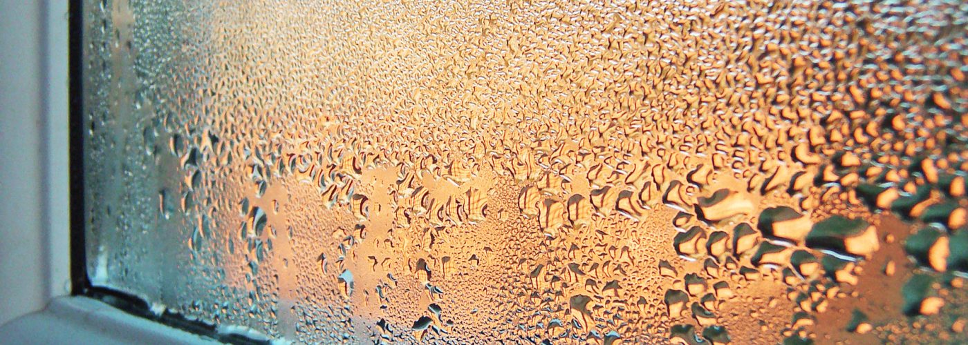 MPs urged to back national campaign to tackle damp and mould in housing