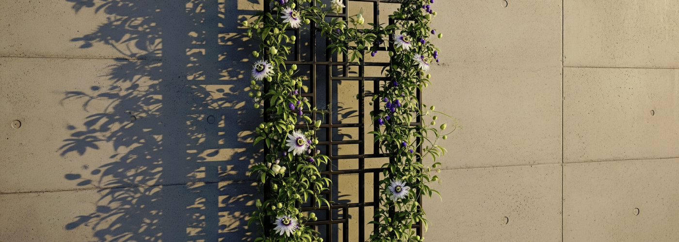 Trellis and Obelisk Specification Checklist for Architects