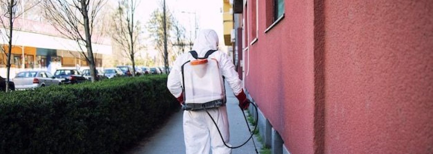 Construction Site Pests: How Early Prevention Saves Time and Money