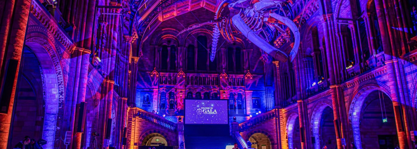 2025 Grand Gala Award Winners