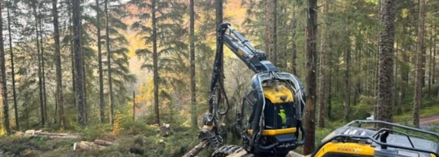A year of recognition for Forestry and Land Scotland with award wins