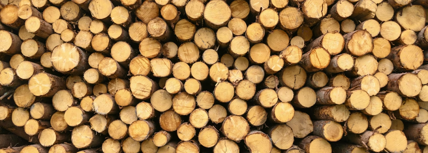 Expert shares 5 practical ways to improve sustainability in the timber industry